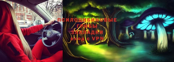jwh Новозыбков